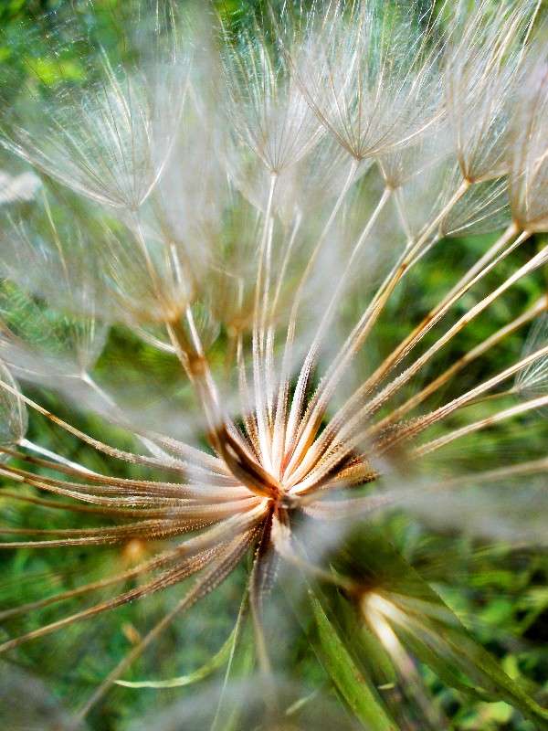 ... ����� ���