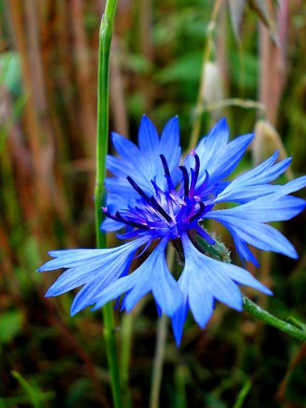 ... ����� ���