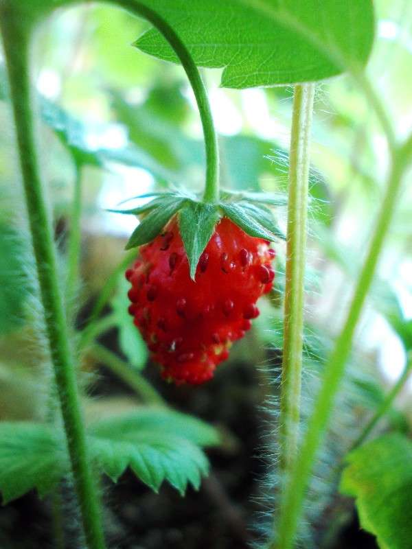 �� ����������� ����� ���