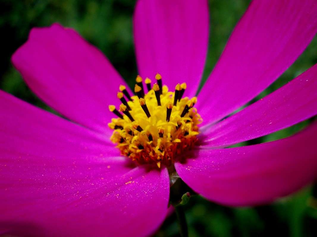 ... ����� ���