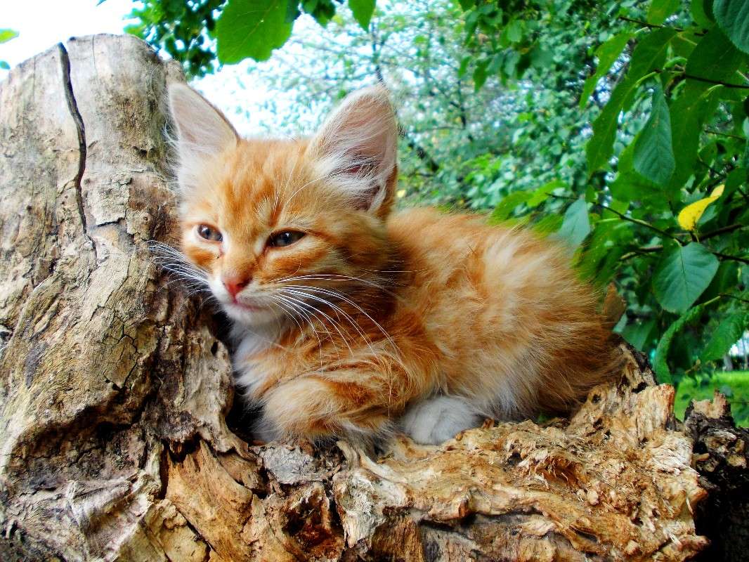 ... ����� ���