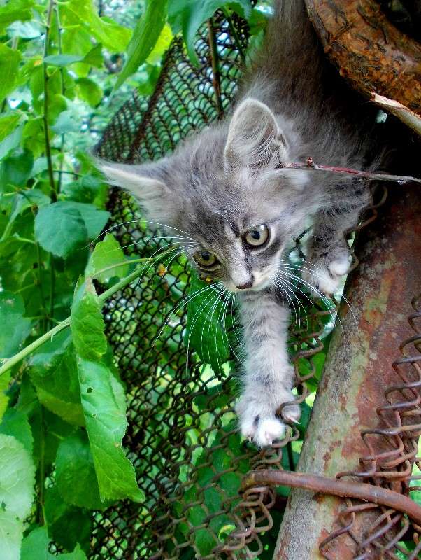 ... ����� ���