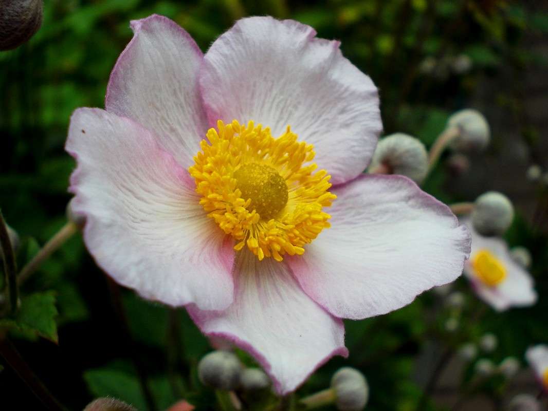 ... ����� ���