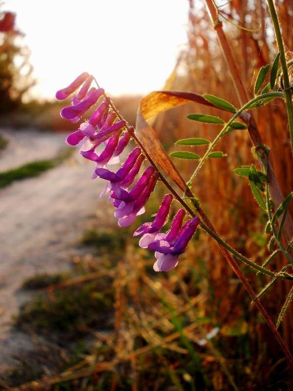 ... ����� ���