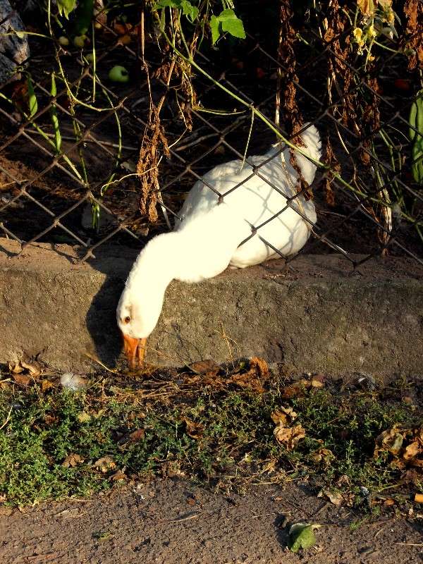 ... ����� ���