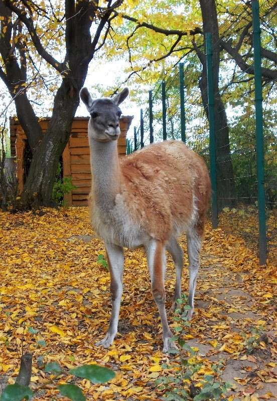 ... ����� ���