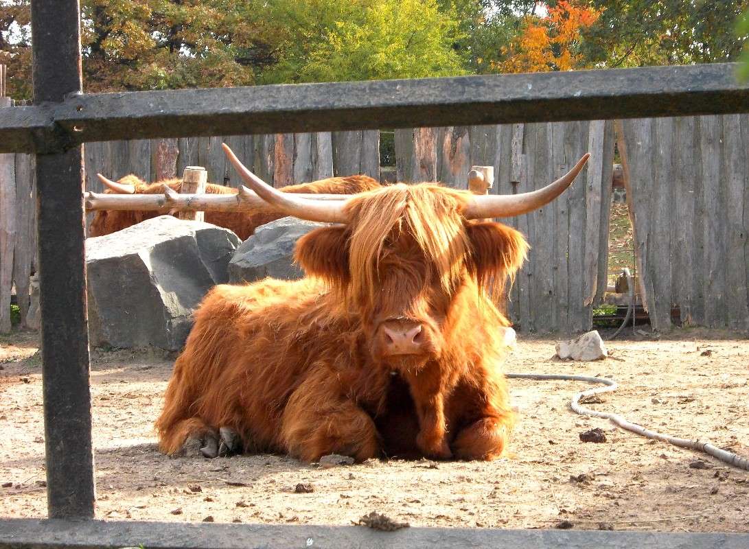 ... ����� ���