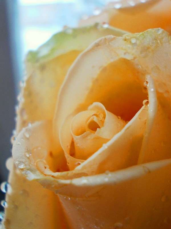 ... ����� ���