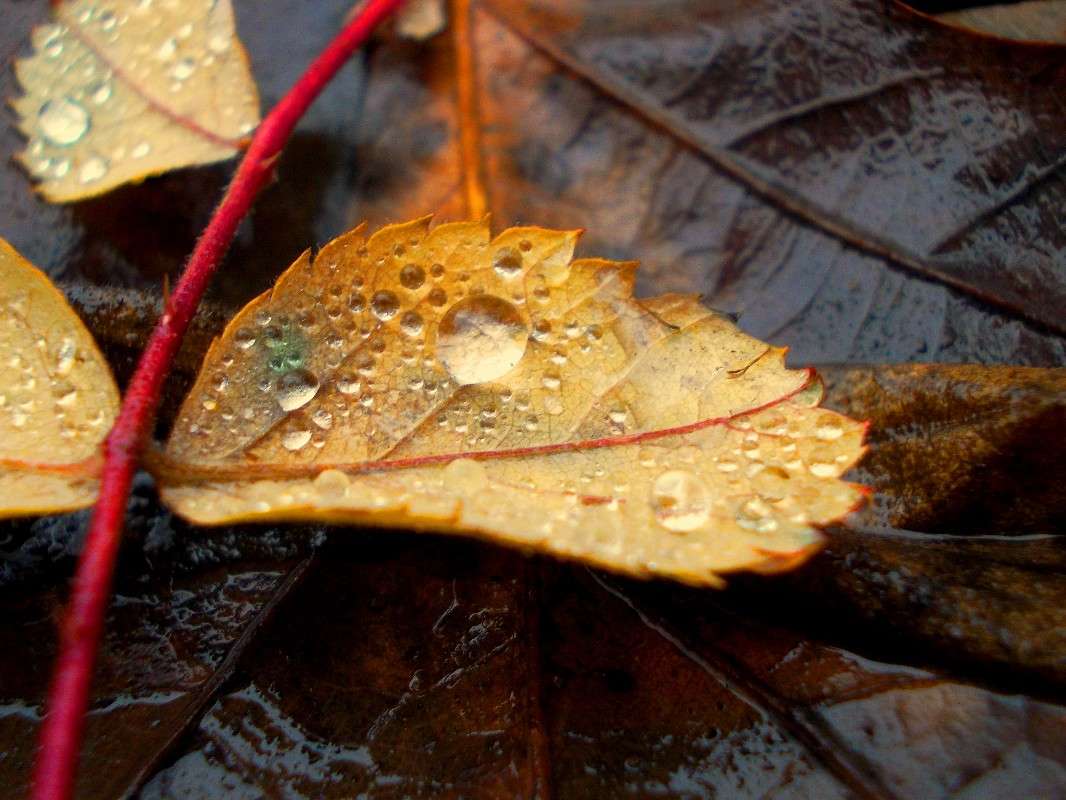 ... ����� ���