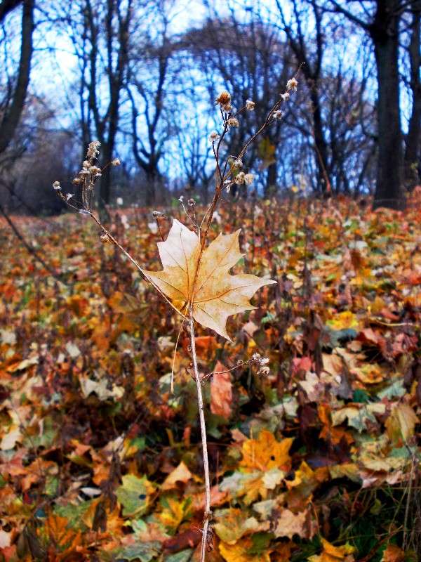 ... ����� ���