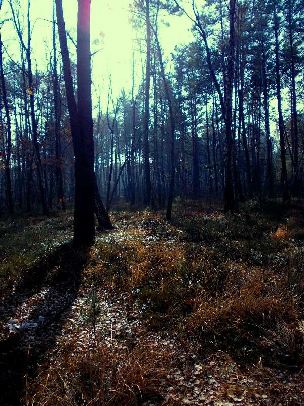 ... ����� ���