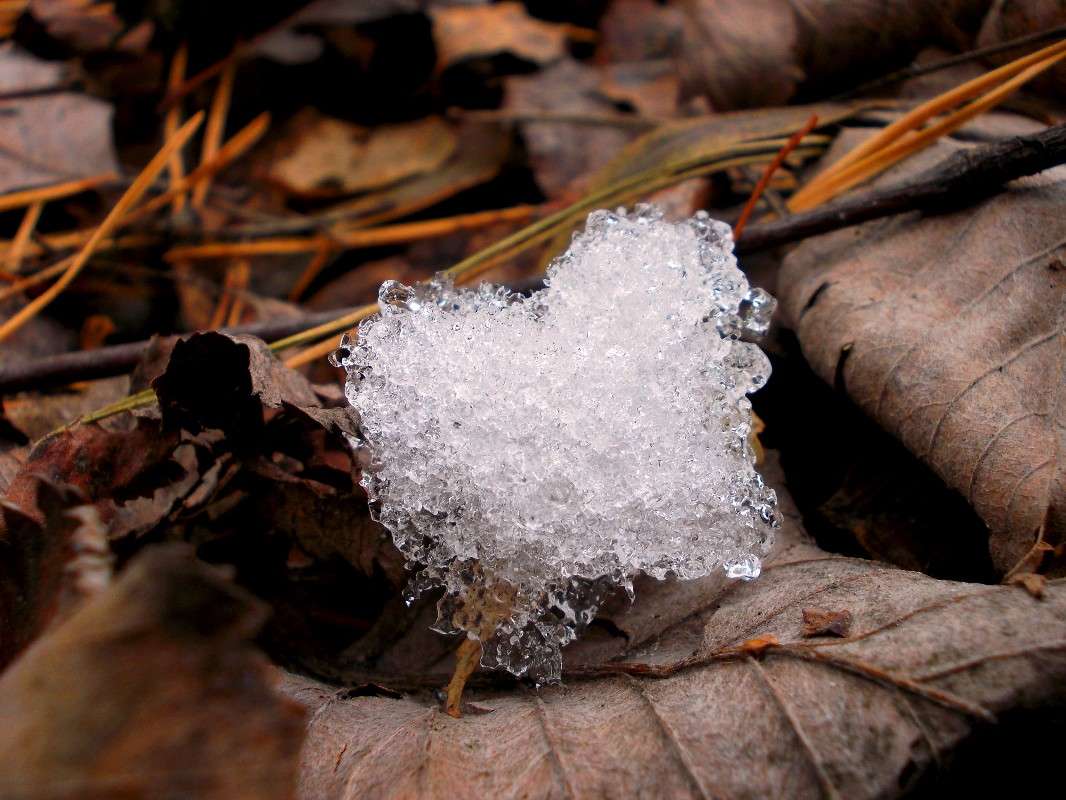 � ������ �������� ��� ������ ����� ���