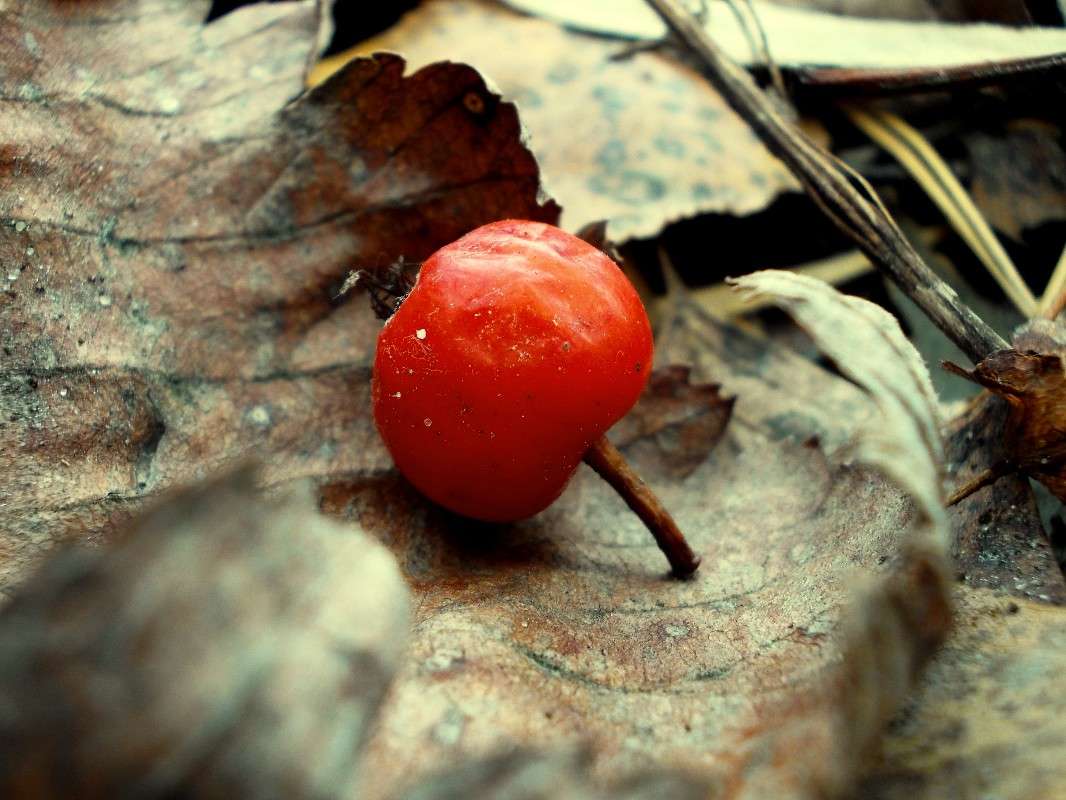 �������� ������ ����� ���