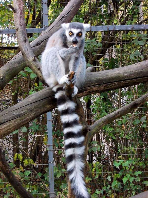 ... ����� ���