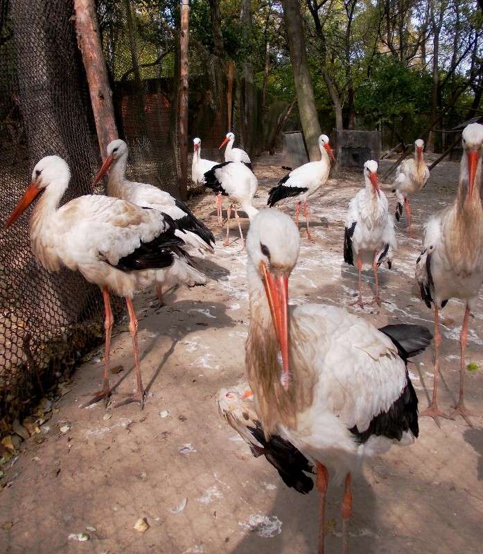 ... ����� ���