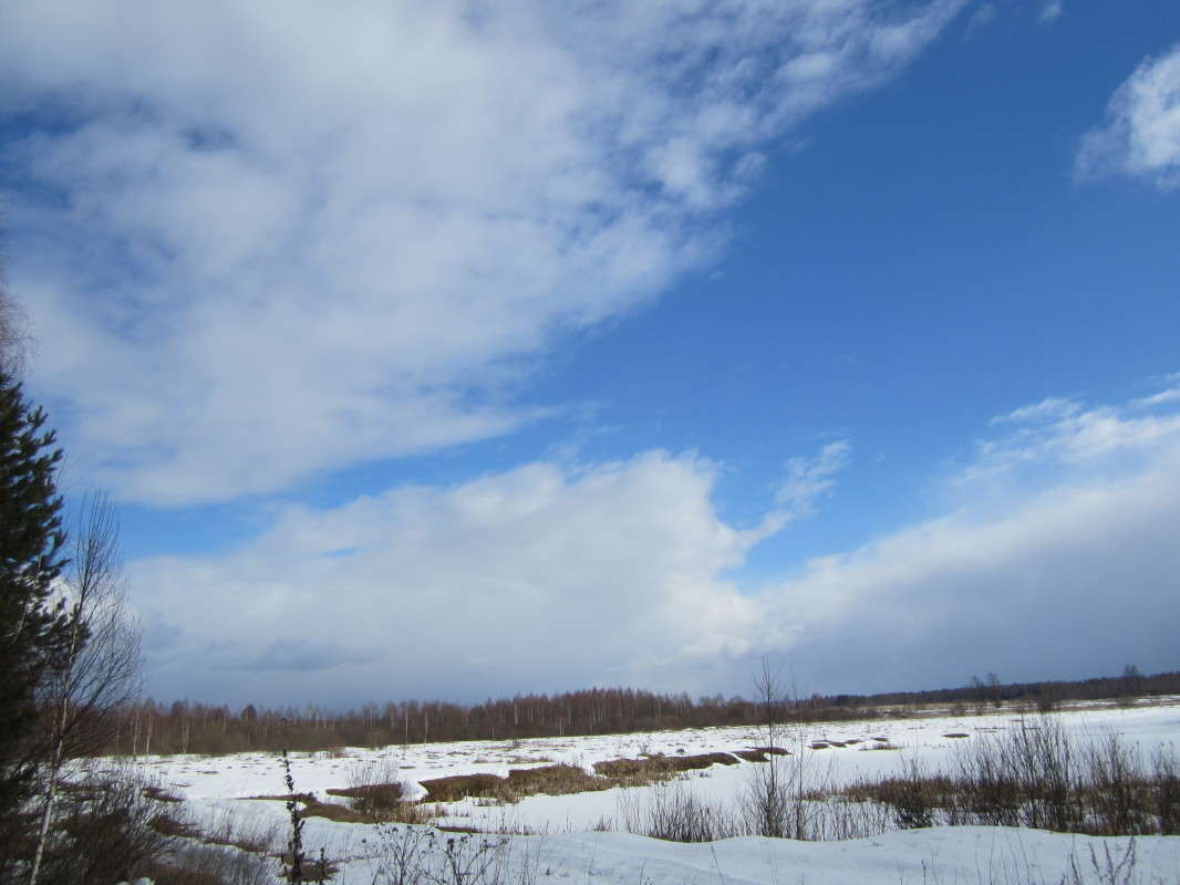 ���������� ���� ����� ������� ������ �� PhotoGeek.ru #������ ��� �������