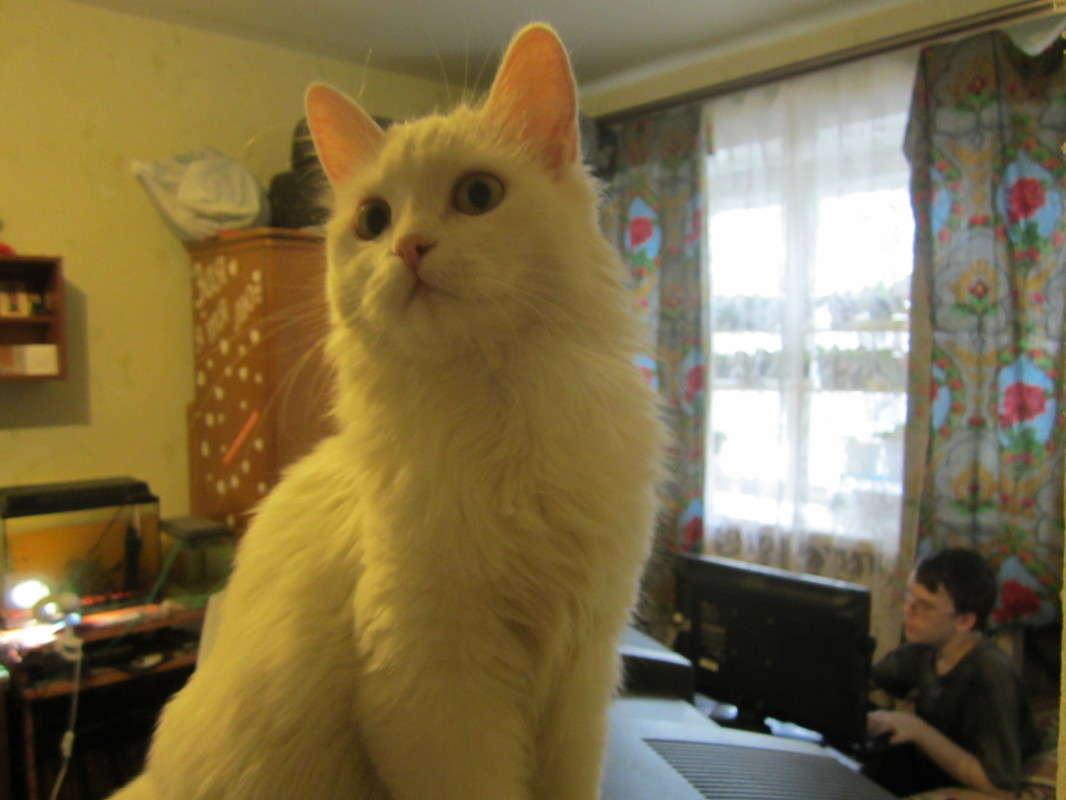 ��� ����� ����� ������� ������ �� PhotoGeek.ru #�������� ���