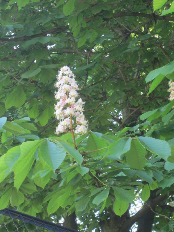 ������ ������� ����� ������� ������ �� PhotoGeek.ru #������ ��� �������