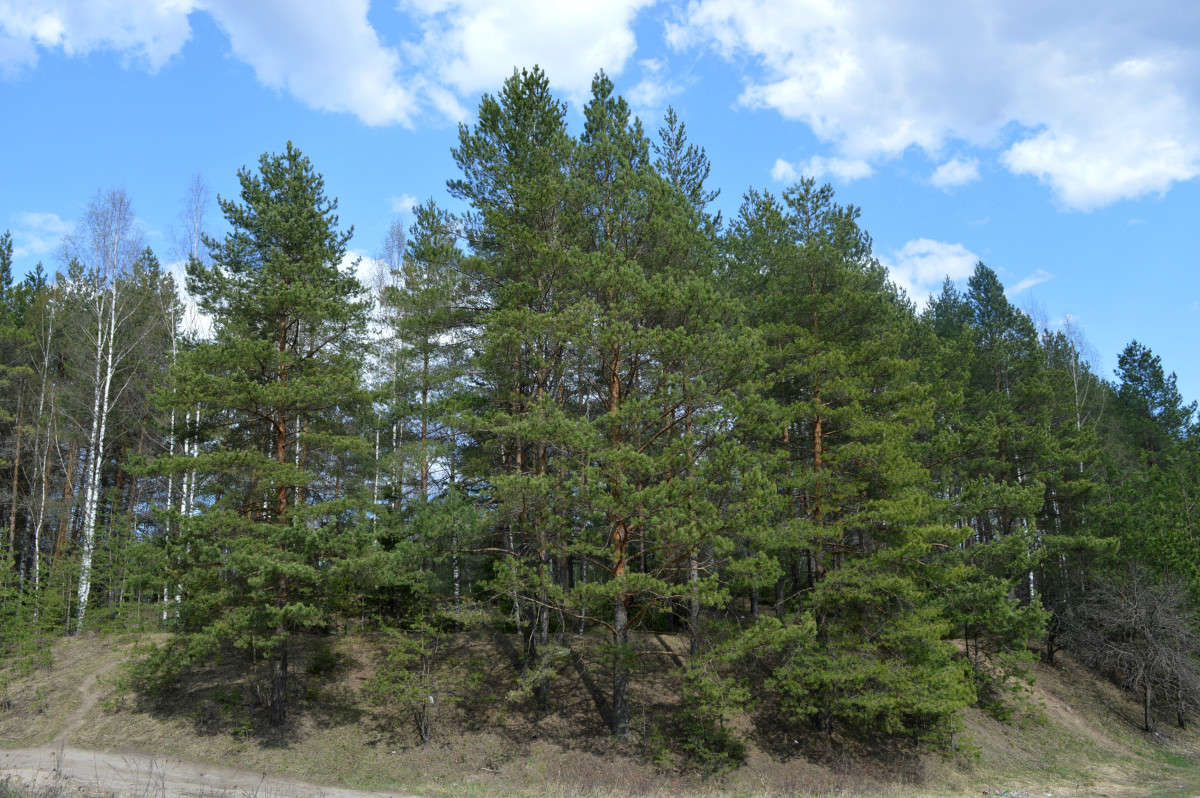 ����� ����� ������� ������ �� PhotoGeek.ru #������ ��� �������