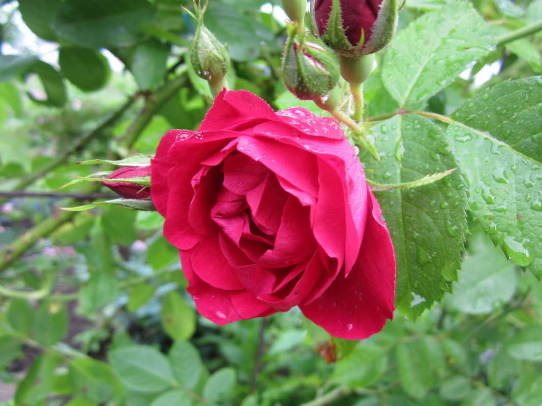 ��������� ����� ������� ������ �� PhotoGeek.ru #������ ��� �������