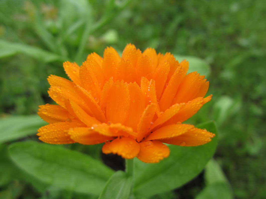 ����� ����� ����� ������� ������ �� PhotoGeek.ru #������ ��� �������