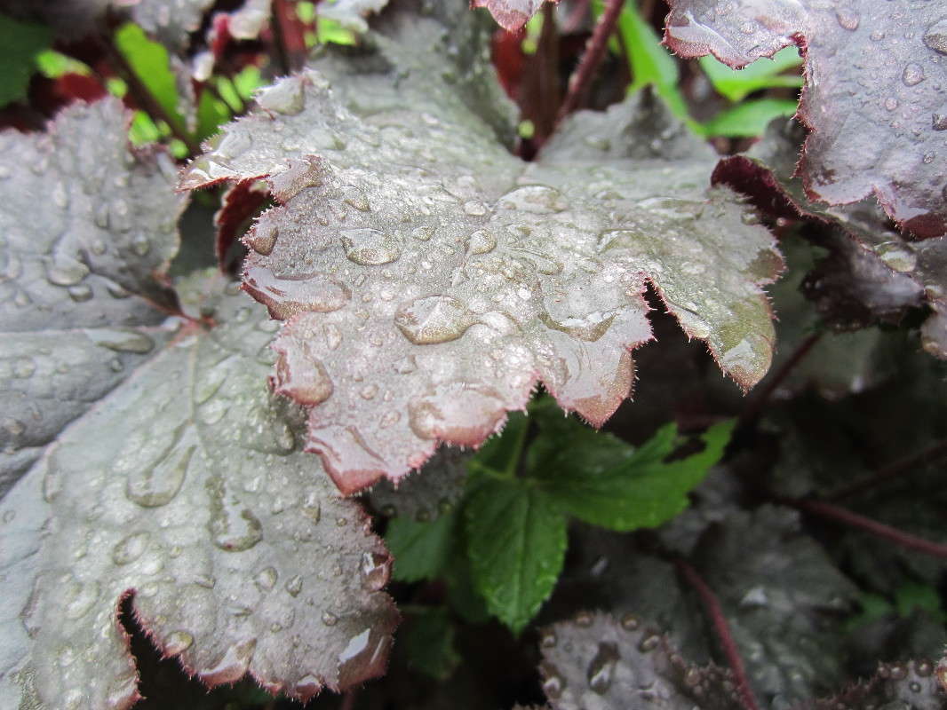 ����� ����� ������� ������ �� PhotoGeek.ru #������ ��� �������