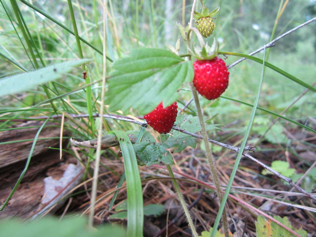 ������ ��������� ����� ������� ������ �� PhotoGeek.ru #������ ��� �������