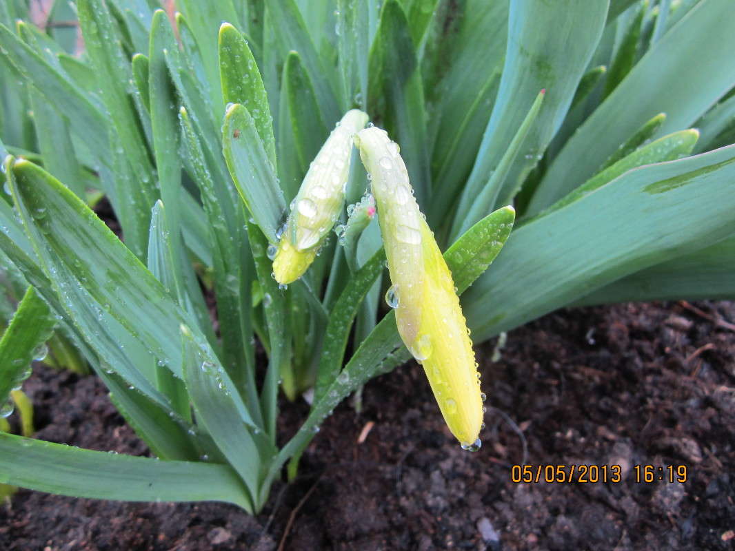 ����� ����������� ����� ������� ������ �� PhotoGeek.ru #������ ��� �������