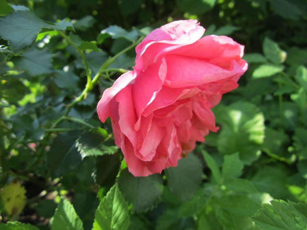 ���� �� 10 ����� ������� ������ �� PhotoGeek.ru #������ ��� �������