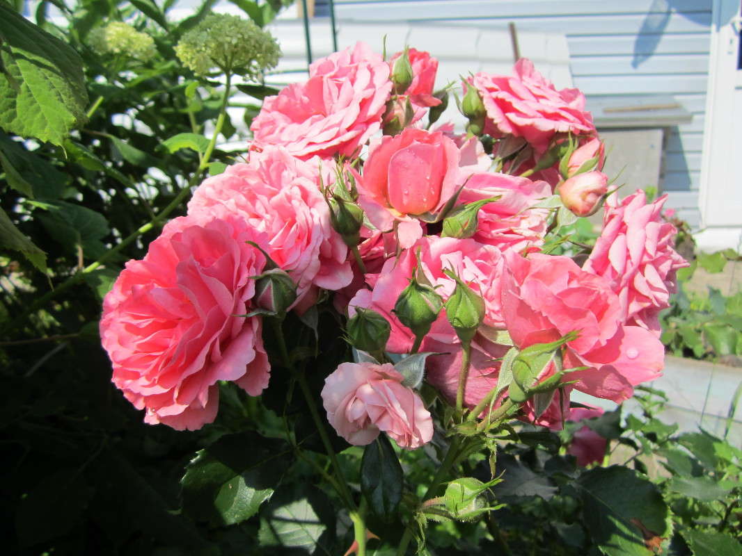 �������-����� ����� ������� ������ �� PhotoGeek.ru #������ ��� �������