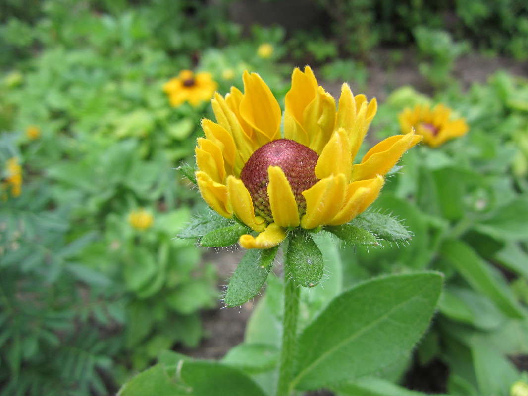 �������� ����� ������� ������ �� PhotoGeek.ru #������ ��� �������