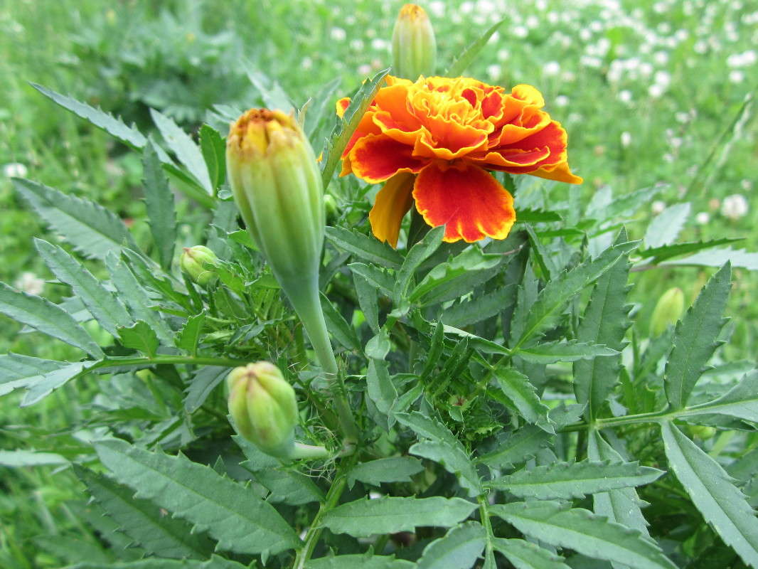 ������ ����� ������� ������ �� PhotoGeek.ru #������ ��� ������� #����� ��������������