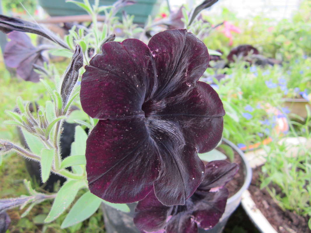 ���� ����� ������� ������ �� PhotoGeek.ru #������ ��� �������