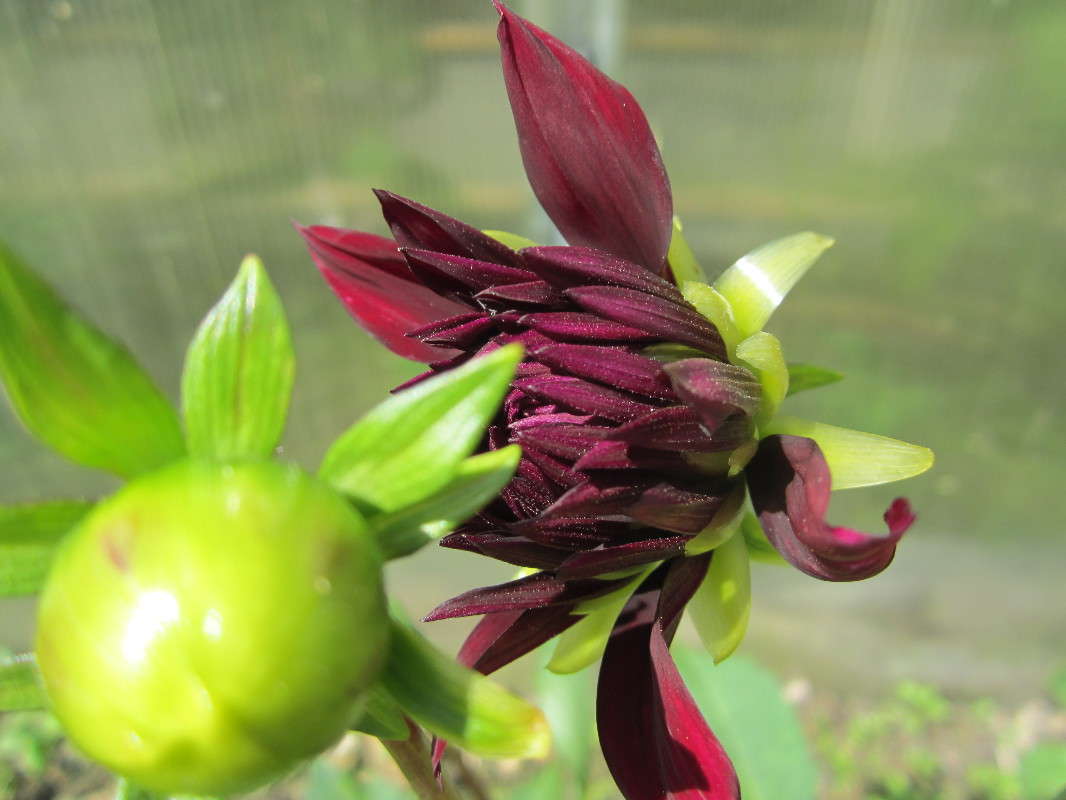 ... ����� ������� ������ �� PhotoGeek.ru #������ ��� �������