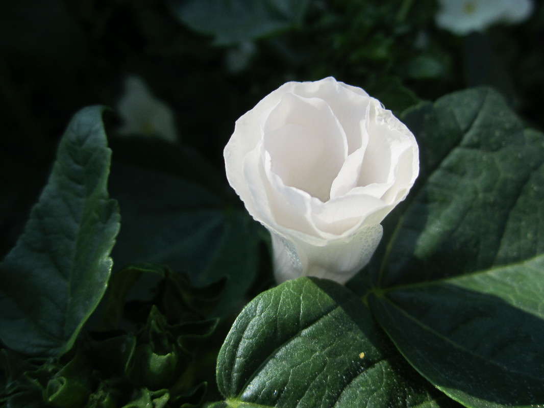 �������� ����� ������� ������ �� PhotoGeek.ru #�����