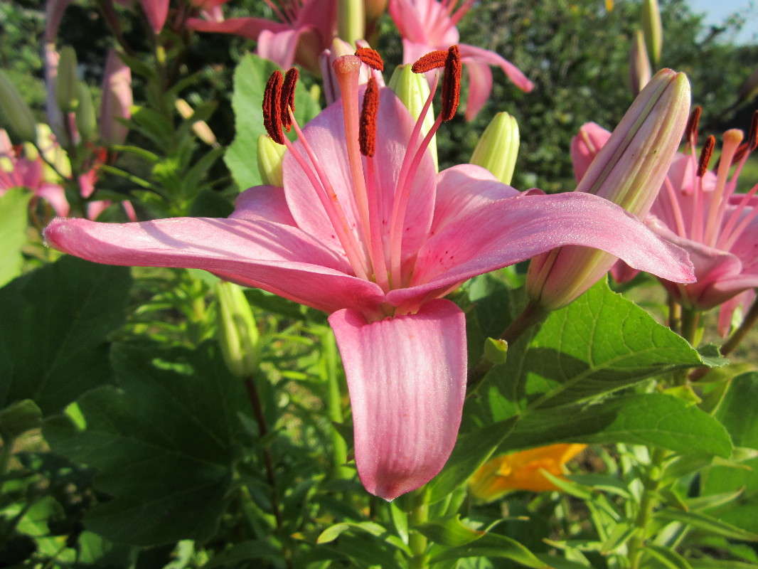 ����� ����� ������� ������ �� PhotoGeek.ru #������ ��� �������