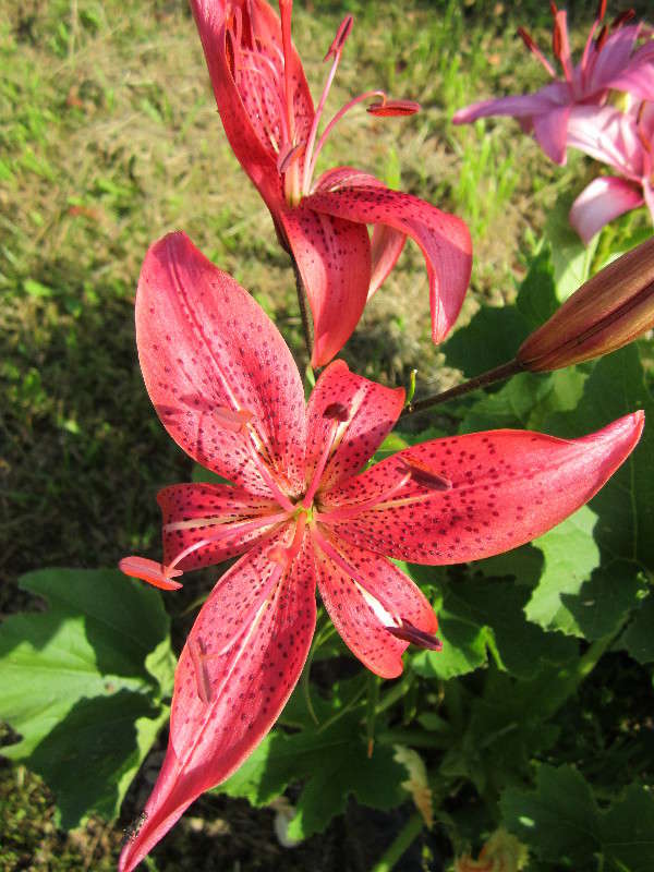 �������� ����� ������� ������ �� PhotoGeek.ru #�����