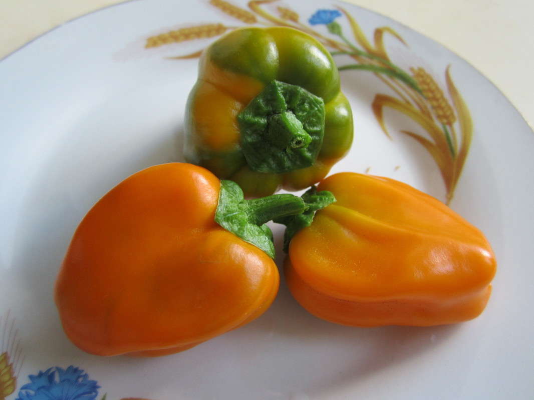 ��������� ���� ����� ������� ������ �� PhotoGeek.ru #��������� #����������