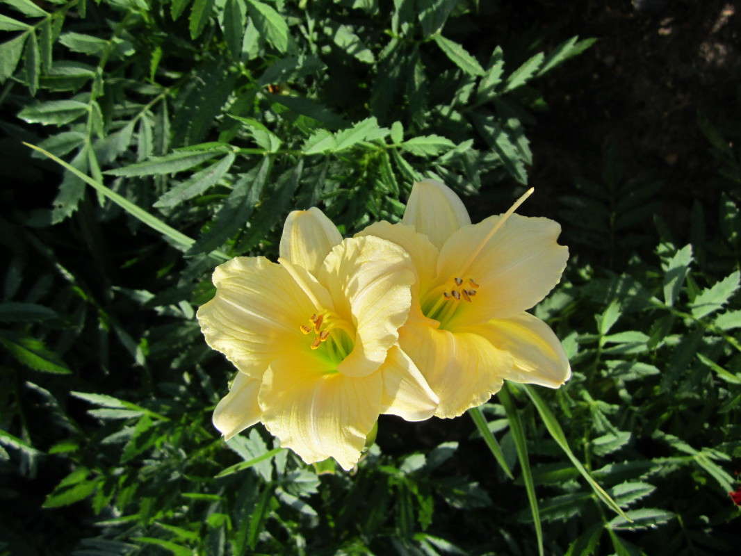 ������� ����� ������� ������ �� PhotoGeek.ru #������ ��� �������