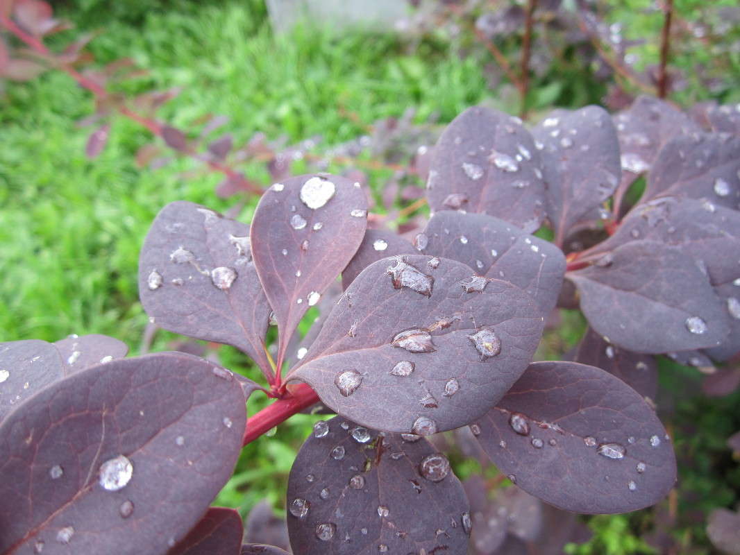 ����� ����� ������� ������ �� PhotoGeek.ru #������ ��� �������