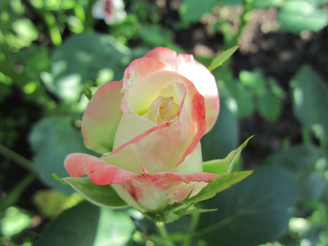 ������������ ����� ������� ������ �� PhotoGeek.ru #�����