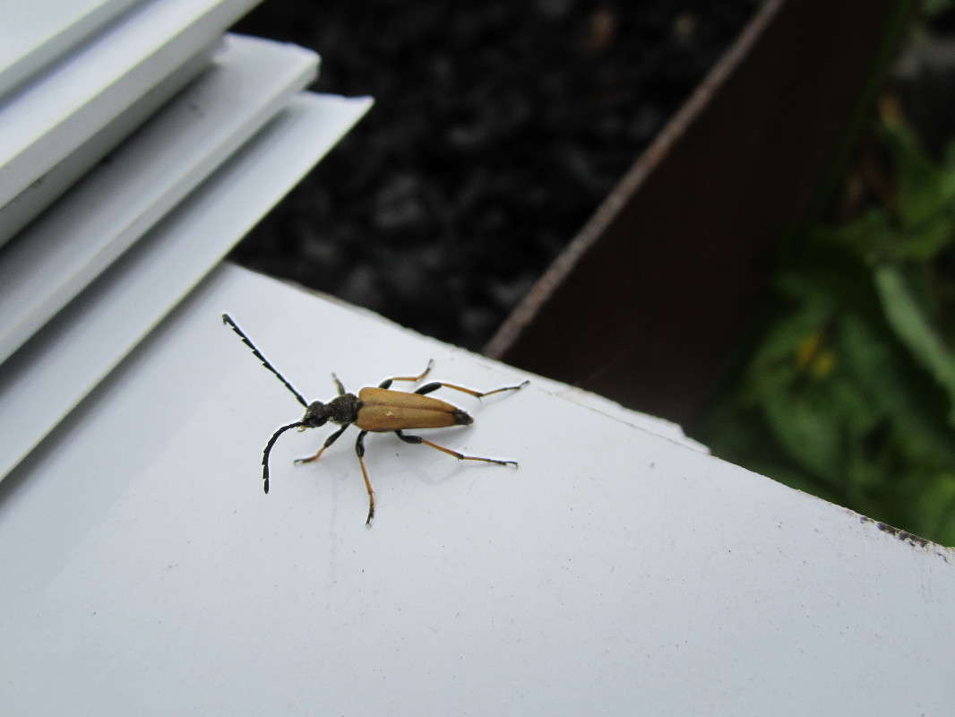 ��� ����� ������� ������ �� PhotoGeek.ru #�����