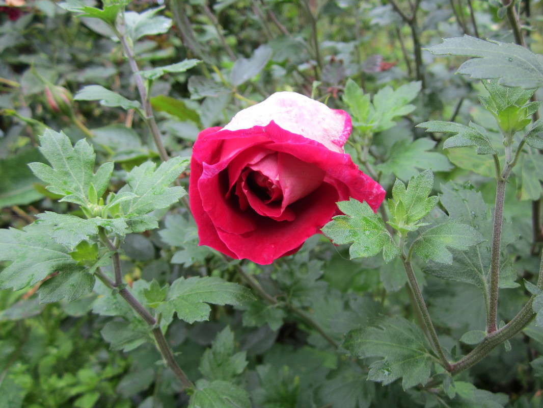 ��������� ���� ����� ������� ������ �� PhotoGeek.ru #�����