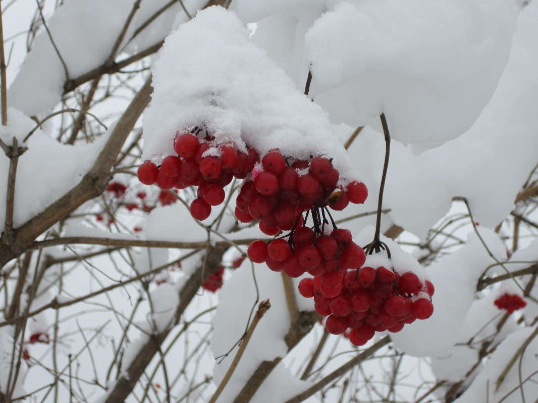 ����� ������ ����� ������� ������ �� PhotoGeek.ru #�����