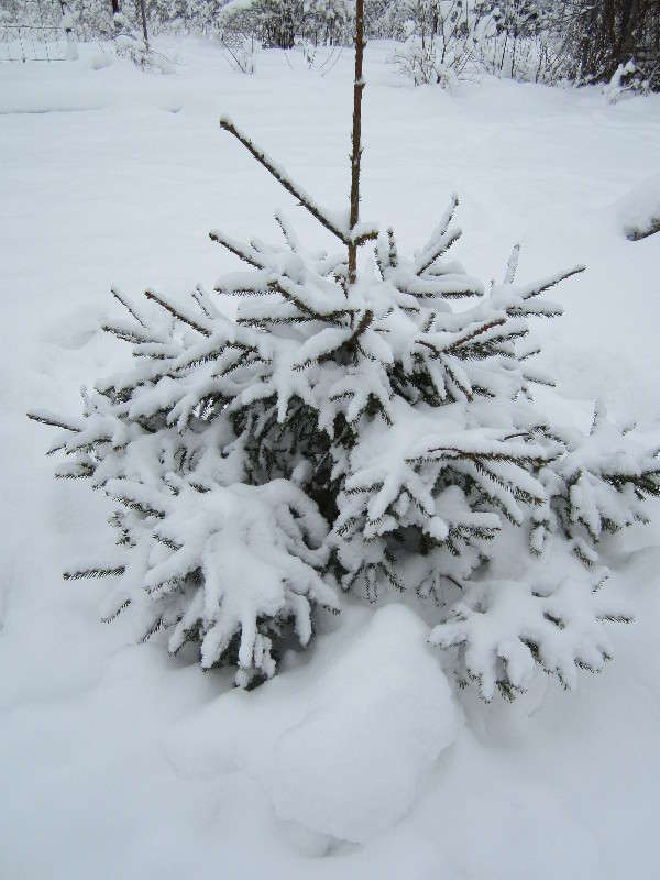 ��������� ����� ������� ������ �� PhotoGeek.ru #�����