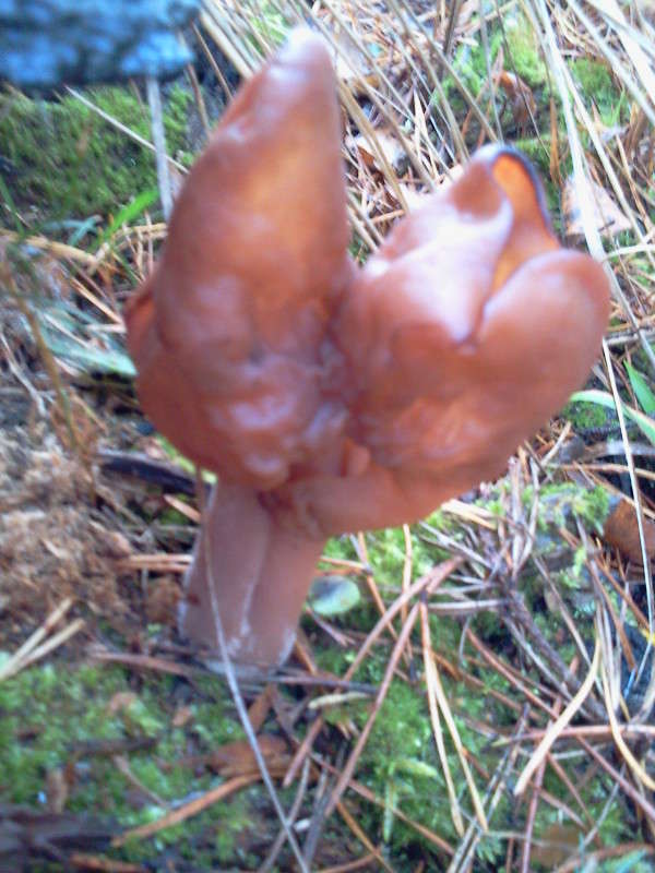 ���������� ����� ������� ������ �� PhotoGeek.ru #������ ��� �������