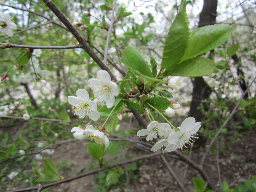 �������� ��� ������� ����������� �����.... ����� ������� ������ �� PhotoGeek.ru #������ ��� �������