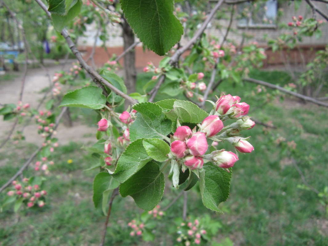 ������ �� ������! ����� ������� ������ �� PhotoGeek.ru #�����