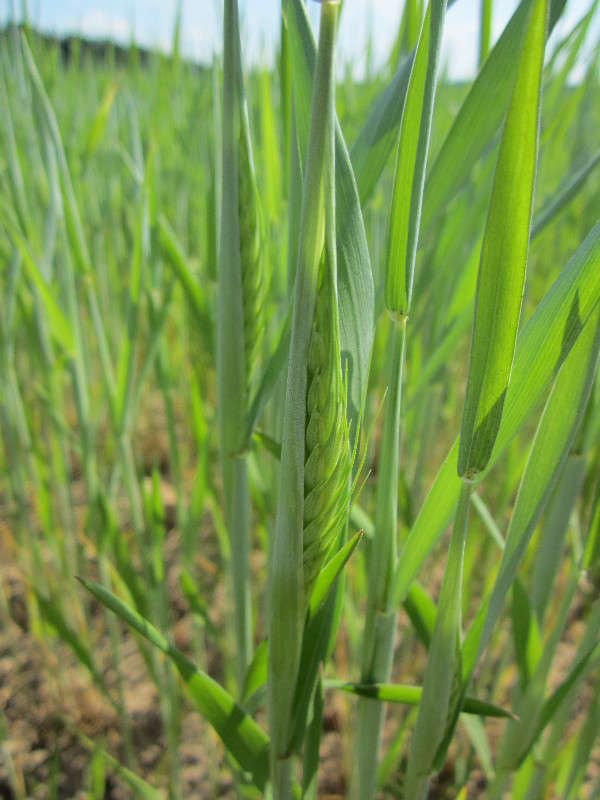 ������� ����� ������� ������ �� PhotoGeek.ru #�����