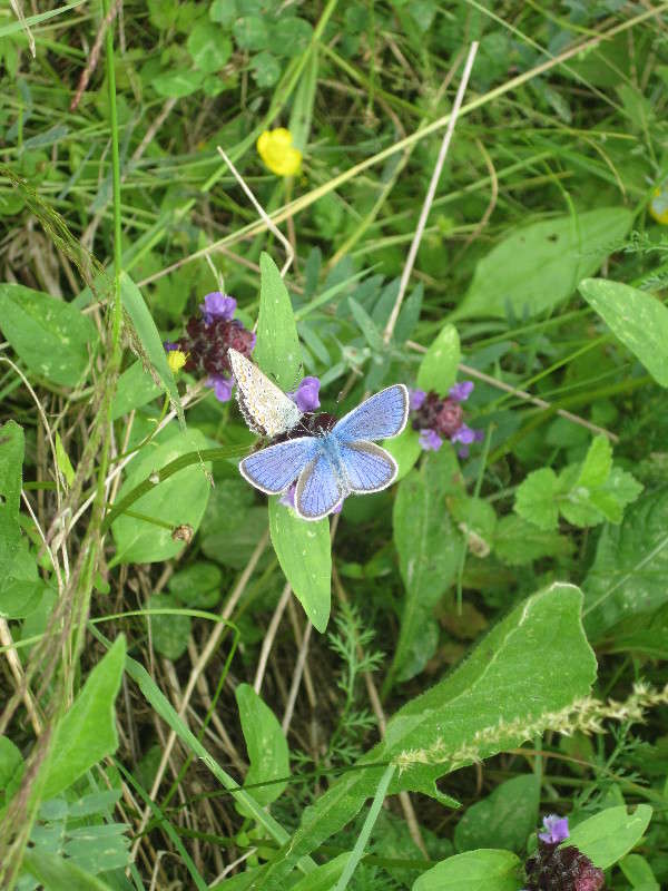 ������� ����� ������� ������ �� PhotoGeek.ru #�������� ���